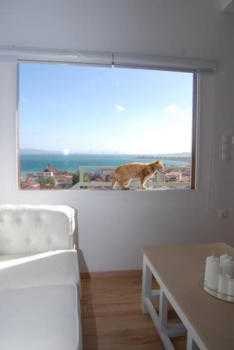 360ᵒ Lepanto Apartment Nafpaktos Exteriér fotografie