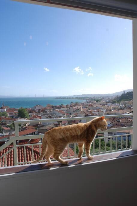 360ᵒ Lepanto Apartment Nafpaktos Exteriér fotografie